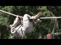 062809 confidence course