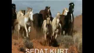 Sedat Kurt Gel Yeter