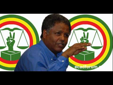 VOA Amharic about Andargachew Tsige