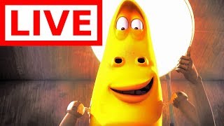 🔴LIVE | LARVA | YELLOW HAS GOT ARMS ! 💪Full Episodes | Cartoons For Children | WildBrain 🔴LIVE | LARVA | YELLOW HAS GOT ARMS ! 💪Full Episodes | Cartoons For Children | WildBrain