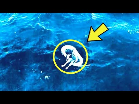 Across The Ocean Video