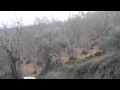 Castañar de Valle de Matamoros
