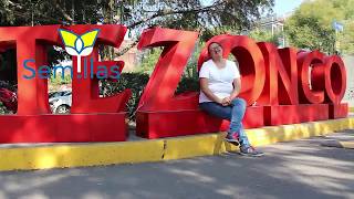 Testimonios de Voluntarios del Festival Semillas 2019- Tere Becker-