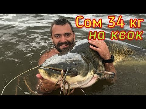 без рыбалка на сома без рыбалка на сома
