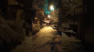 Gece Karda Yürüyüş