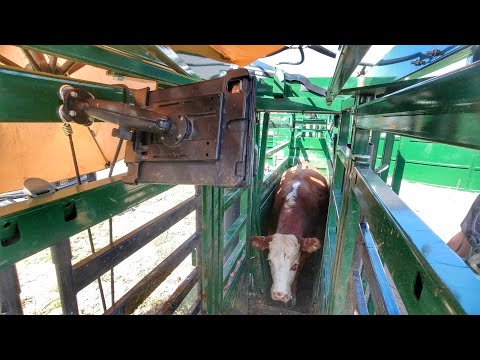Uploads from Sonne Farms