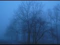 Solace For The Vanity - My Nature