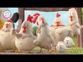 Funny Chicken Song And Dancing Rooster - | Fs Media Nursery Rhymes & Kids Songs