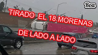 Oso Un 18 Morenas Tirado De Lado A Lado En La Carretera