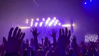 David Guetta Cerebrates Avicii Tribute Concert