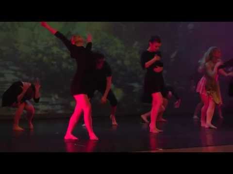 Zvetomira & Friends - Devenir ; corpo di Ballo Dance Studio, Coreografia di Z.Todorova