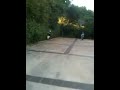 Pwned by the tree