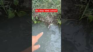 Bu Nima Bilganlar Bormi