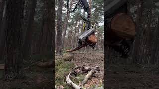 Harvester John Deere 1270G In The Forest #Harvester #Johndeere #Viral #Wood #Tree #Trending #Love