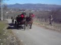 caii de tractiune a lui fan din Valenii de Munte Teisani