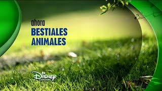 Disney Channel España: Ahora Bestiales Animales