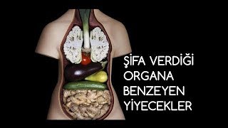 Şifa Verdiği Organa Benzeyen Meyve Ve Sebzeler