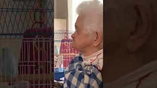 Afiyet Olsun Paşam