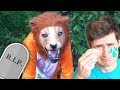 UMŘEL DIVOKÝ LEV (smutný)