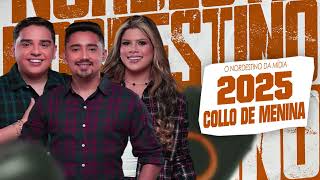 Collo De Menina 2025 Repertório Atualizado Músicas Novas 2025 - Junho Collo De Menina 2025