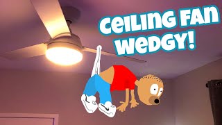 Ceiling Fan Wedgie