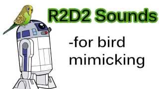 R2D2 Sounds For Bird Mimicking