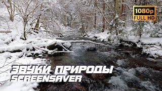 Живая Природа - Река | Звуки Природы | Звуки Реки | Шум Воды | Релаксация | Антистресс | Заставка Тв