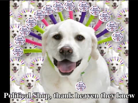 funny dogs and cats video. Funny dog wont take treats