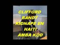 FON N PALE TV1 DOSIER CLIFFORD BRANDT KIDNAPING