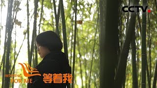 《等着我 第四季》 竹子般的女孩年幼被拐 靠记忆中的竹林寻找家的方向;电焊工26年坚守 渴望“焊”出团圆的家 20190302 | CCTV