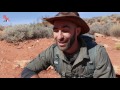 Hunting For Dinosaur Tracks Hunting For Dinosaur Tracks