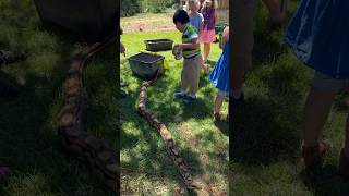 Giant Snake Makes Giant Poop At Reptile Party