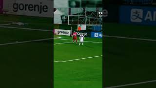 GqOizrZEIKw Video Image