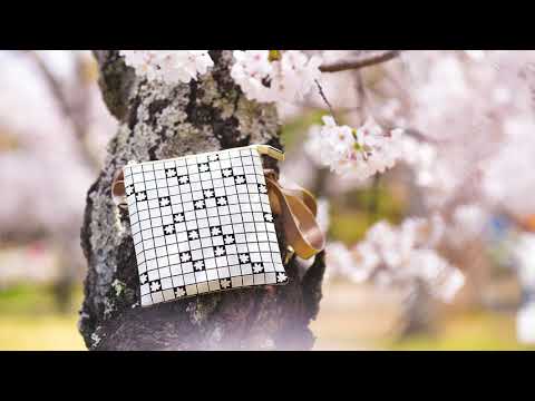 京都 光溢れる桜の花筏4K カエデ・エリシア京都 caede|L’ELISR KYOTO Cherry Blossoms Floral rasft