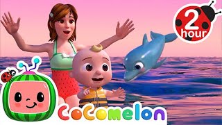 Play at the Beach with Dolphins! | CoComelon Kids Songs & Nursery Rhymes