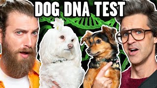 Link Is Shocked By Dog Dna Results