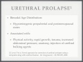 Urethral Prolapse Repair, Kurt Strom MD, Joshua Holyoak MD, Scott Matz MD, Female Urology