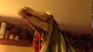 Mari Lwyd At Home In The White Horse, Llandeilo