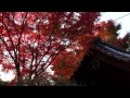 京都 金福寺の紅葉