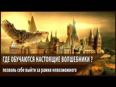 Читать - Онлайн ежова вамп практикум по целительству Читать - Онлайн ежова вамп практикум по целительству
