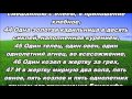 Тихое время с Живой Жизнью: Числа 7:10–83 (26052017)