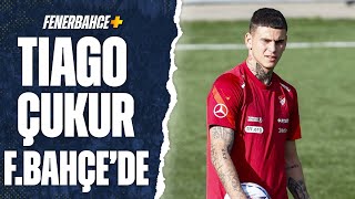 Fenerbahçe Tiago Çukur Transferi İçin Watford İle Prensipte Anlaştı