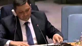 слово Украины на заседании Совбеза ООН 06.08.2014
