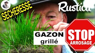 Gazon Grillé, Laissez Faire La Pluie