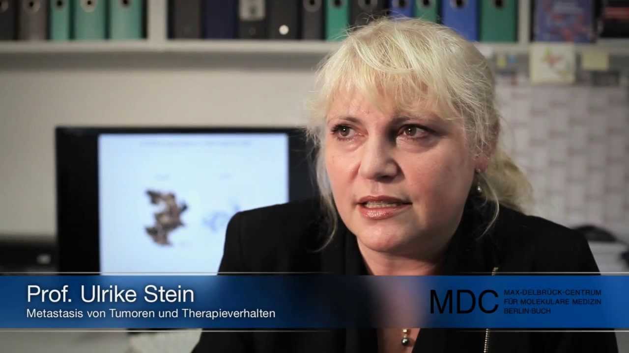ulike stein dateringsmetoder arkeologiska ulike stein dateringsmetoder arkeologiska