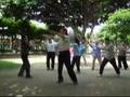 numa numa 2 in Taiwan