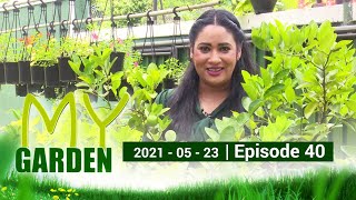 My Garden |   23 - 05 - 2021