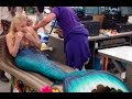 Pirate buys a real live mermaid