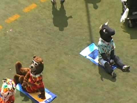 Chicago Bears mascot Staley Da Bear visits Salk School in Bolingbrook as a Chicago Bears mascot Staley Da Bear visits Salk School in Bolingbrook as a