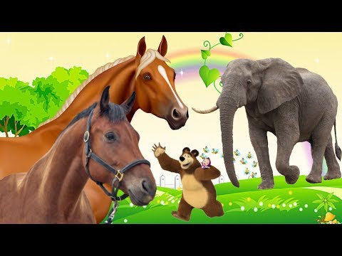 Dạy Các Con Vật Hay Nhất Cho Bé Tập Nói - Con Ngựa, Con Voi, Con Gấu
